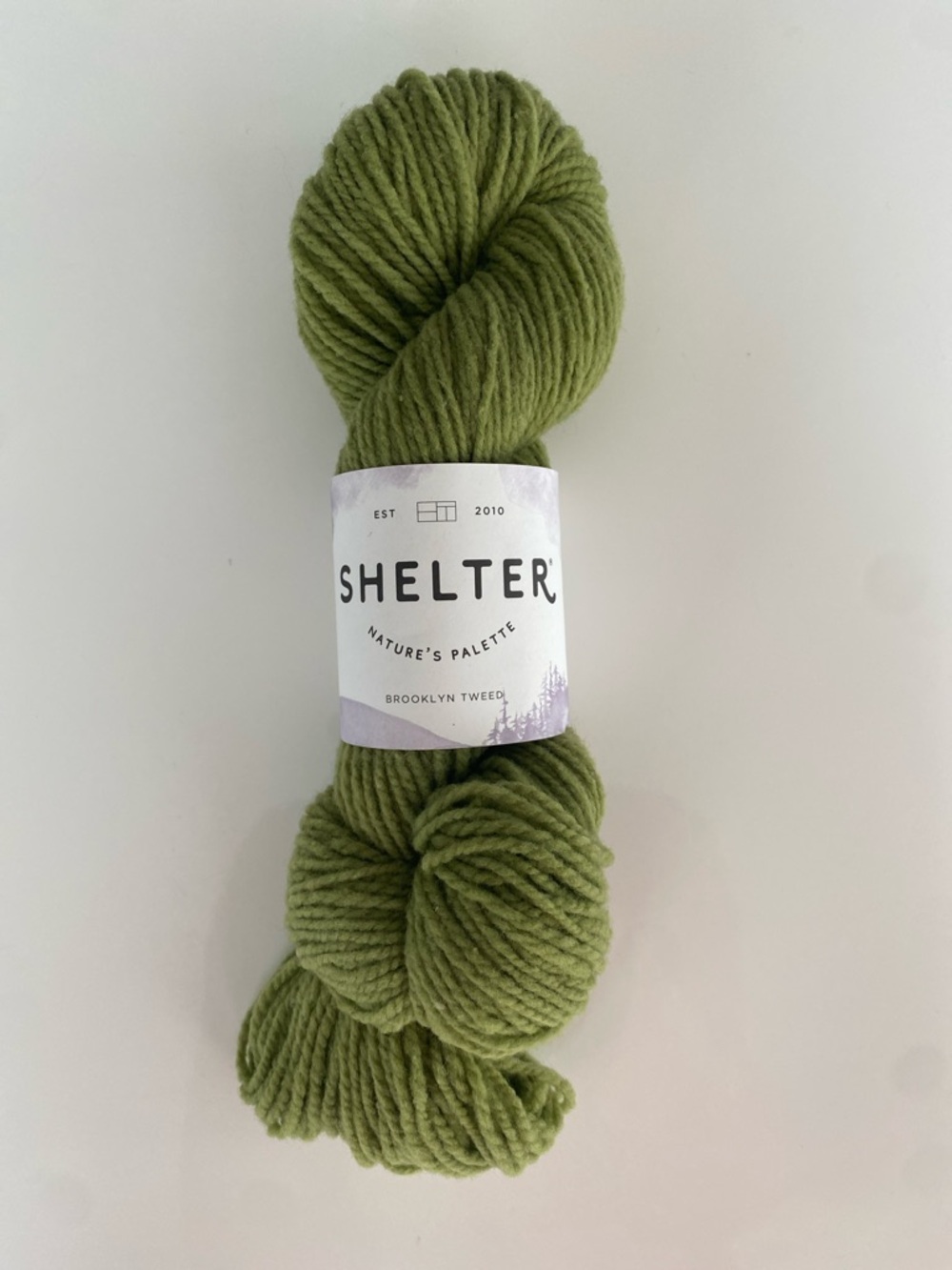 NWT Brooklyn Tweed Shelter Yarn Lemongrass 1 Skien of American Wool